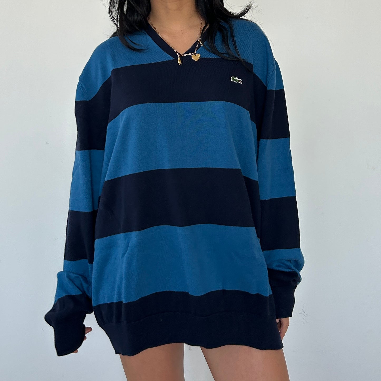 Lacoste Blue Striped V-Neck Knit Jumper - 4XL