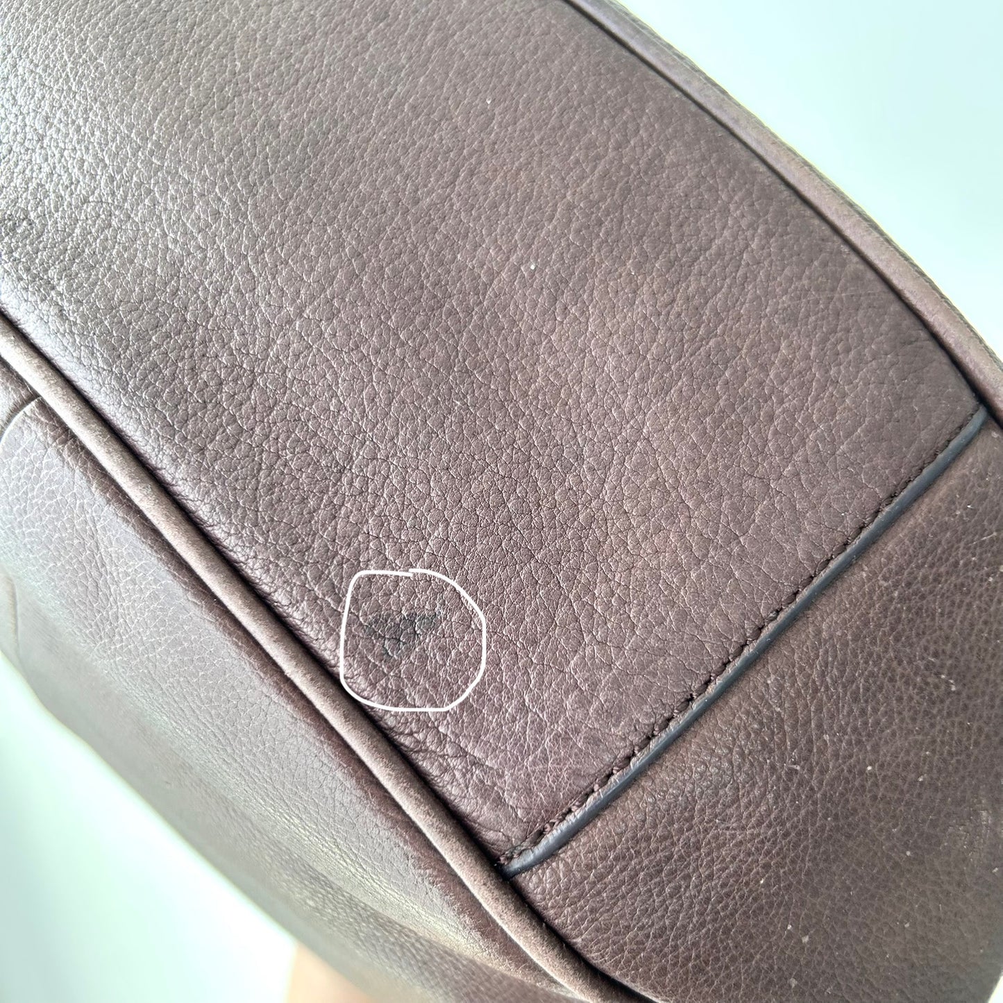 Danier Brown Embroidered Leather Hobo Bag